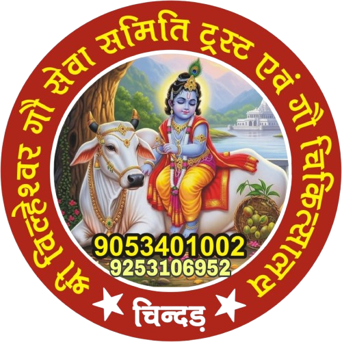 WhatsApp_Image_2026-01-27_at_14.34.54-removebg-preview